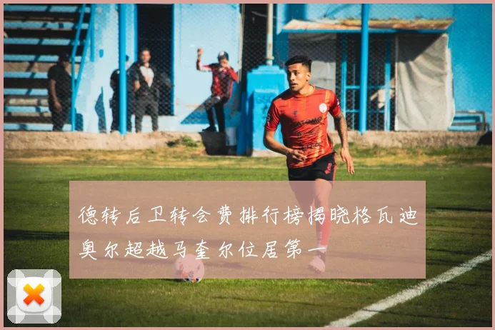 德转后卫转会费排行榜揭晓格瓦迪奥尔超越马奎尔位居第一