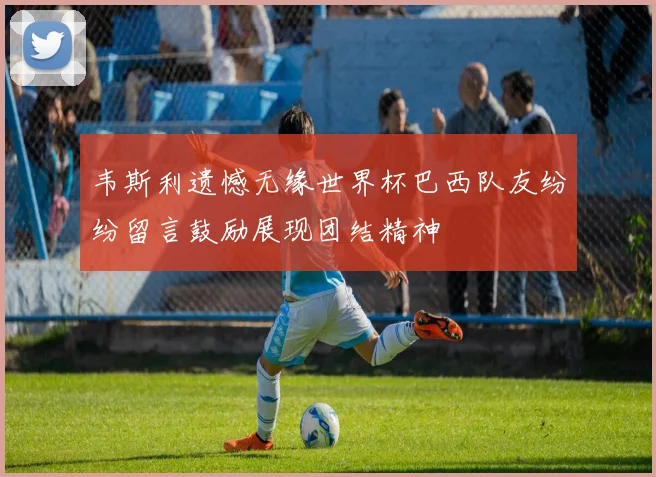 韦斯利遗憾无缘世界杯巴西队友纷纷留言鼓励展现团结精神